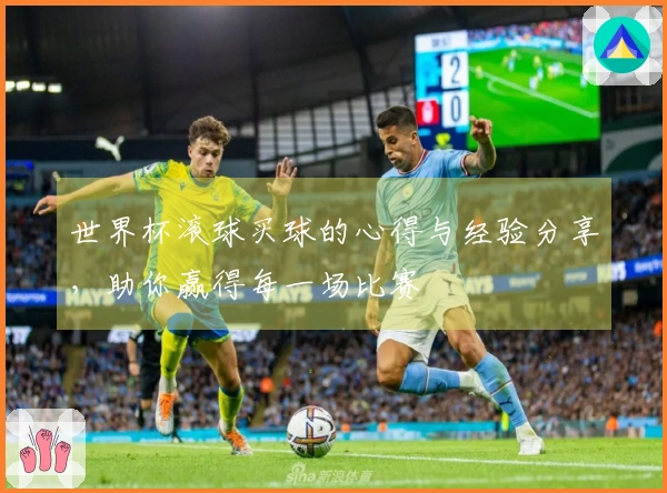 世界杯滚球买球的心得与经验分享，助你赢得每一场比赛