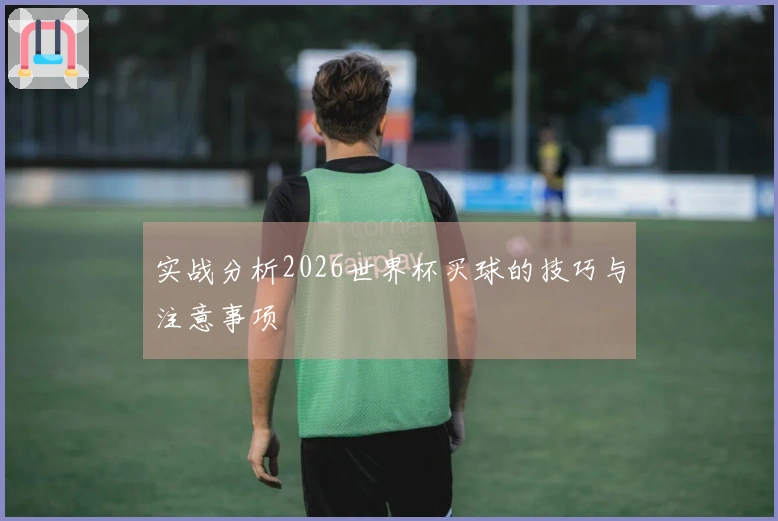 实战分析2026世界杯买球的技巧与注意事项