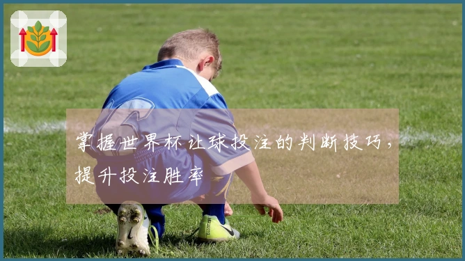 掌握世界杯让球投注的判断技巧，提升投注胜率
