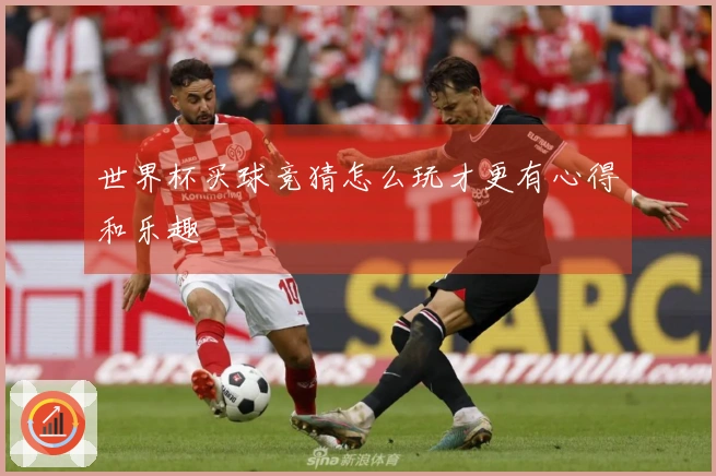 世界杯买球竞猜怎么玩才更有心得和乐趣