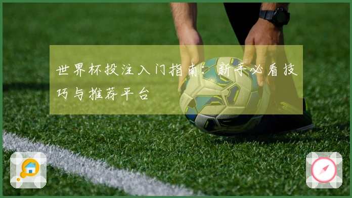 世界杯投注入门指南：新手必看技巧与推荐平台