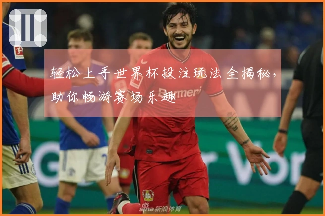 轻松上手世界杯投注玩法全揭秘，助你畅游赛场乐趣