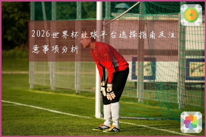 2026世界杯让球平台选择指南及注意事项分析
