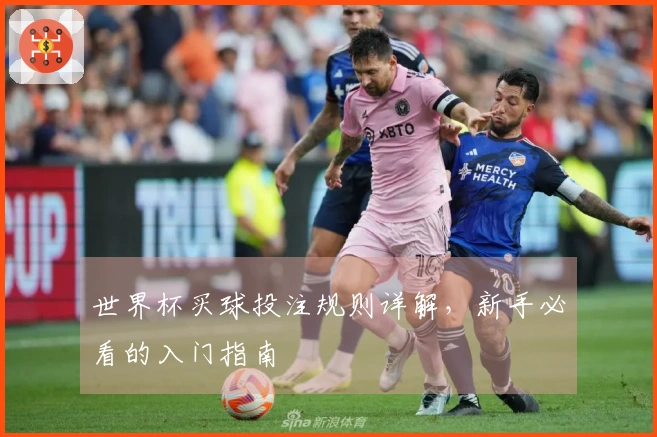 世界杯买球投注规则详解，新手必看的入门指南