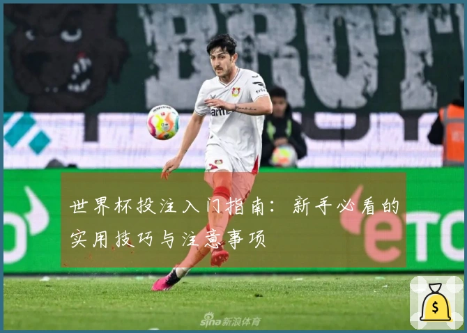 世界杯投注入门指南：新手必看的实用技巧与注意事项